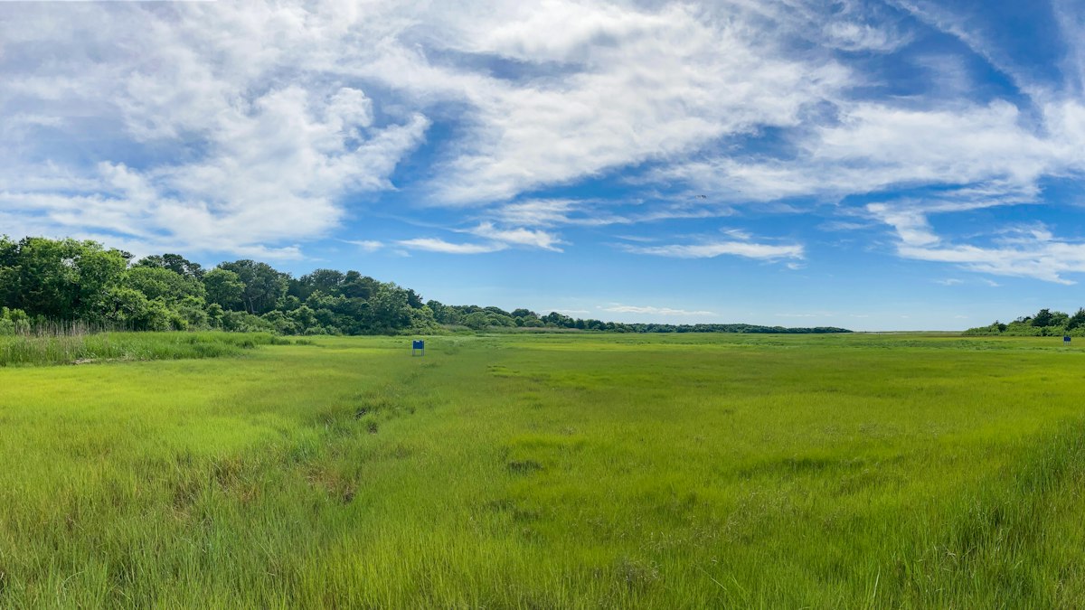 a wide open field with a road going through it